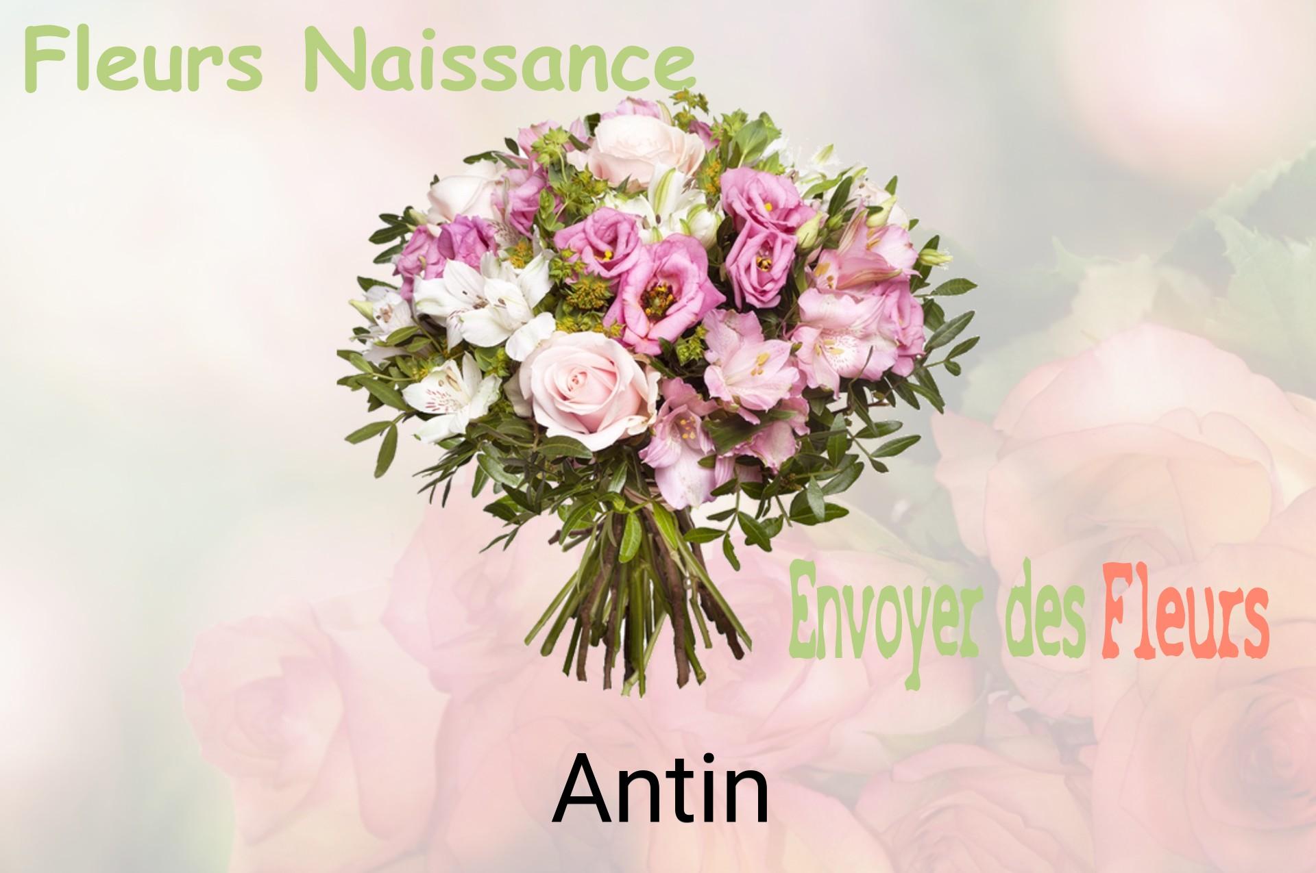 Bouquet de fleurs de naissance livré à Antin